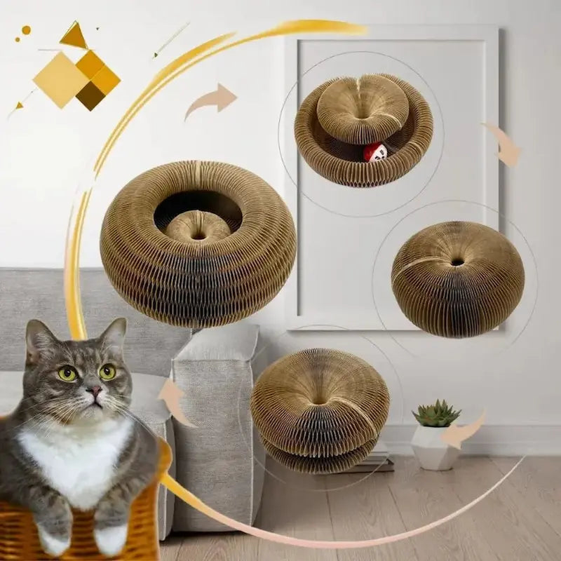 jouet chat anti-ennui