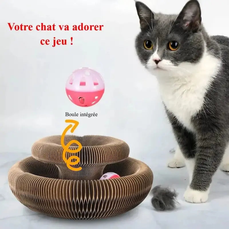 jouet anti-ennui pour chat