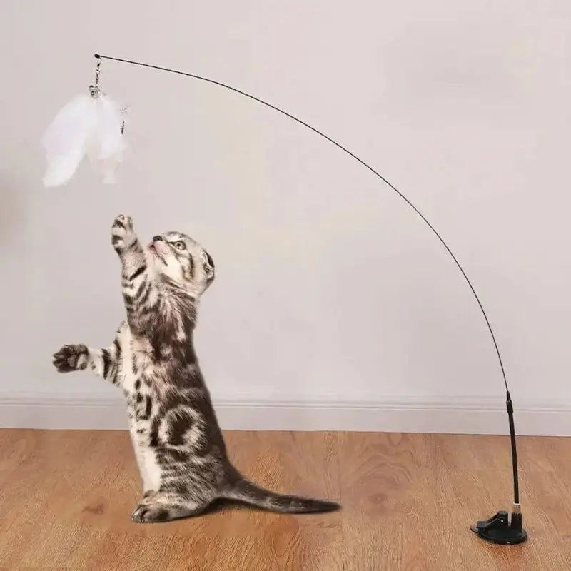 jouet pour chat ventouse