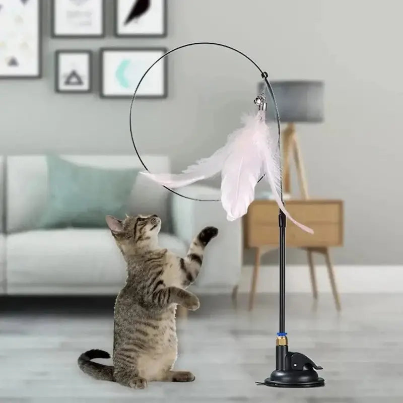 plumestick interactif