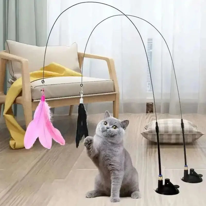 divertissement chat plume