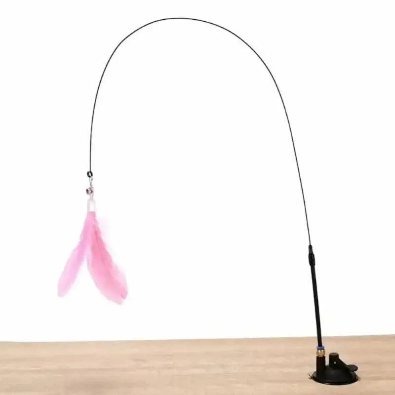 jeux chat plumestick