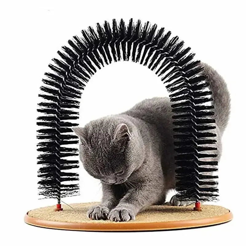 arc massage chat DoucePatte