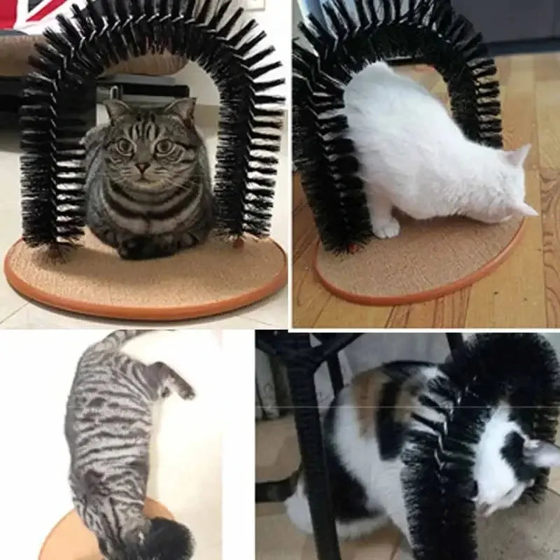 accessoire chat relaxation