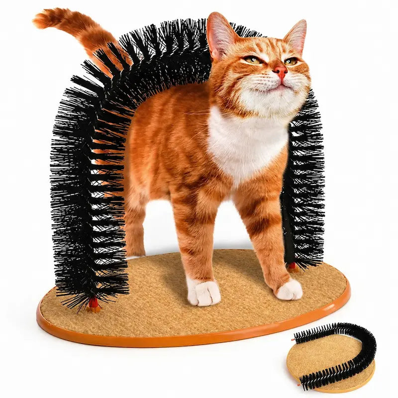 jouet chat auto-grooming