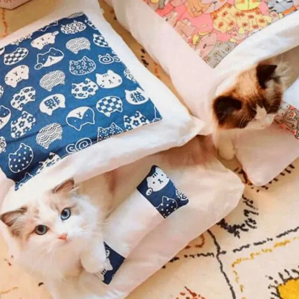 refuge pour chat chaud
