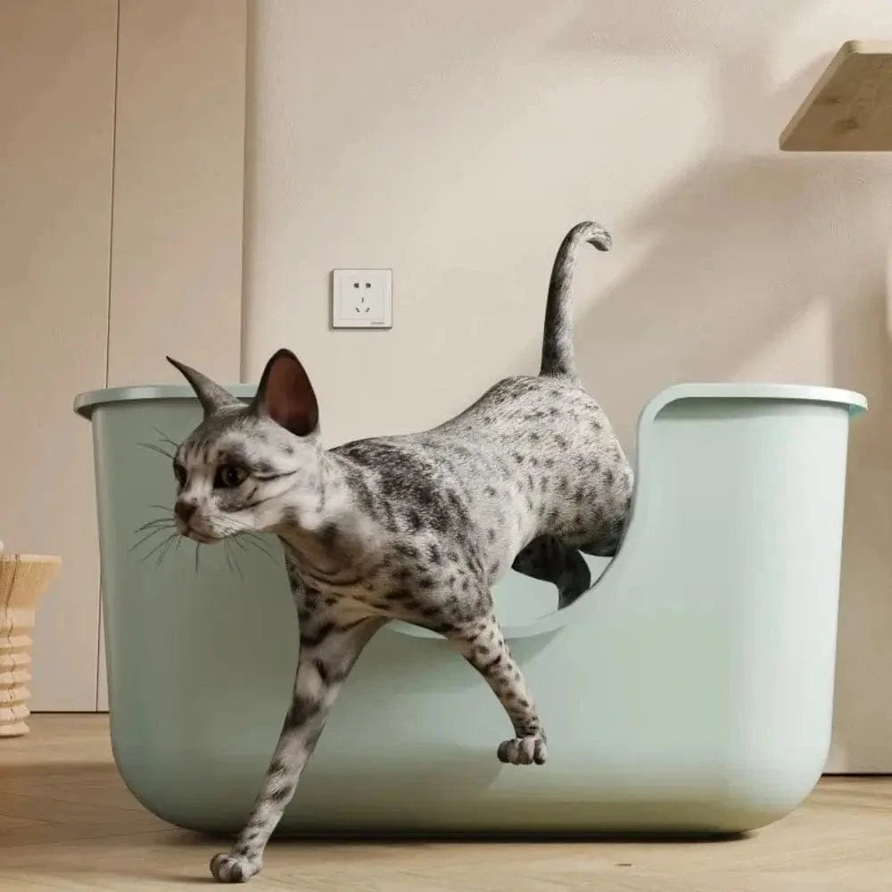 espaces confortables pour chats