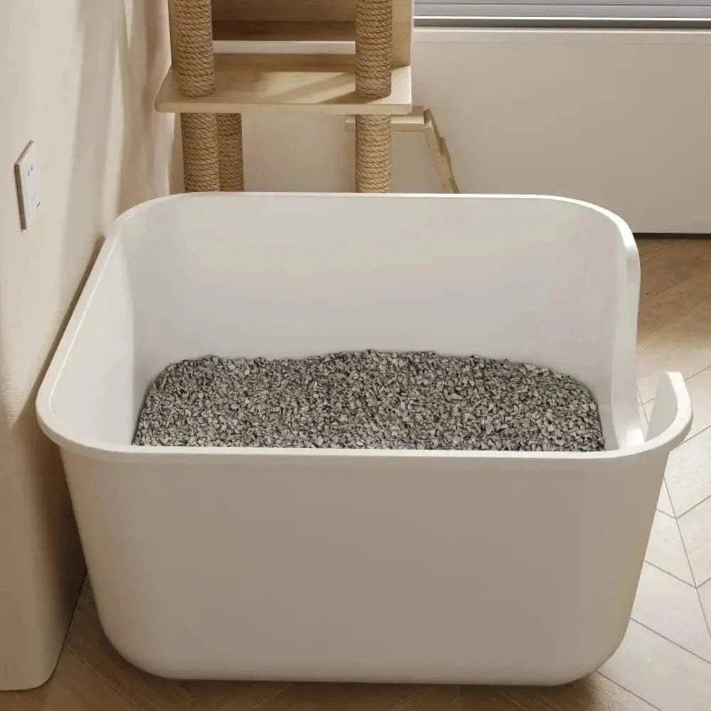 accessoire pour Maine Coon
