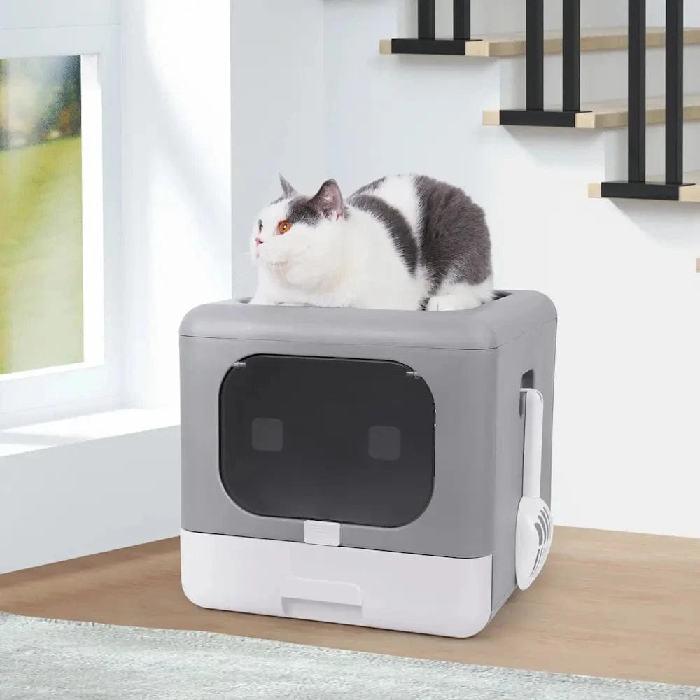 Toilette pour chat design moderne