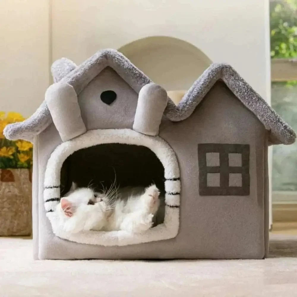 refuge cozy pour chat