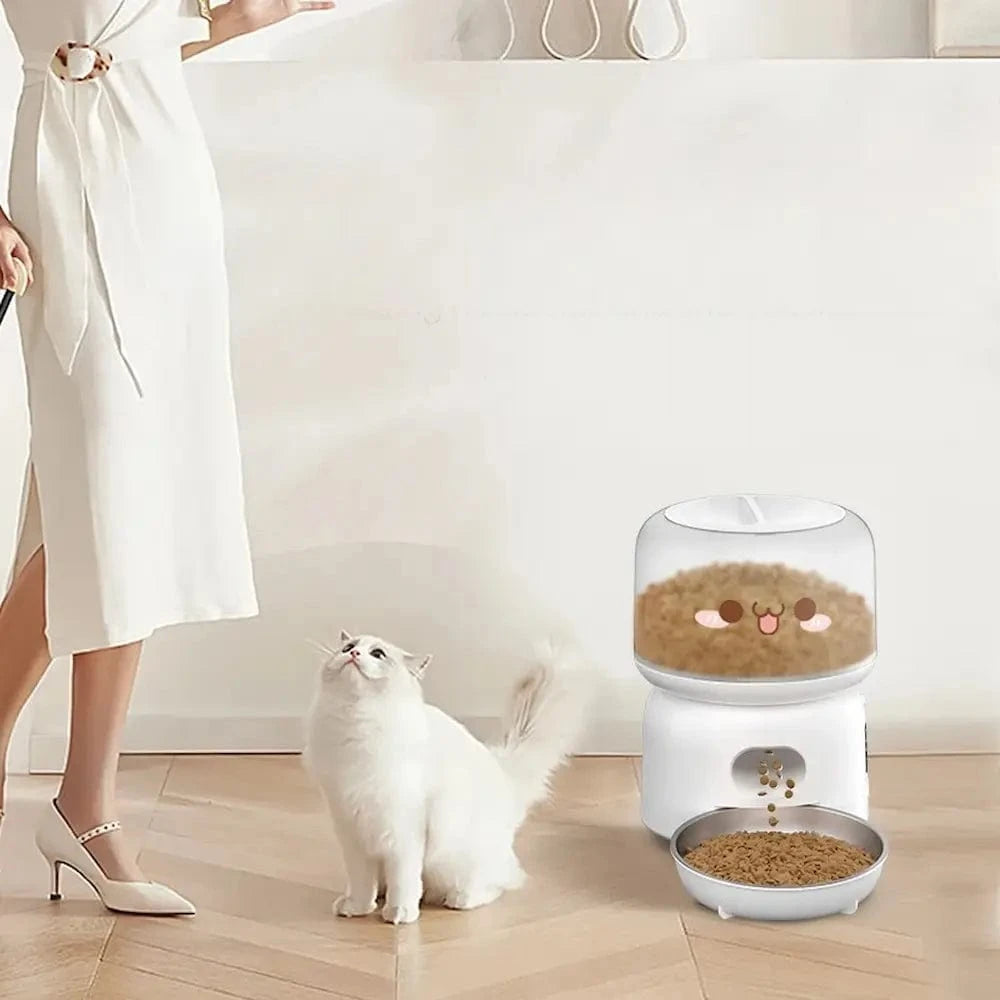 distributeur de croquettes programmable