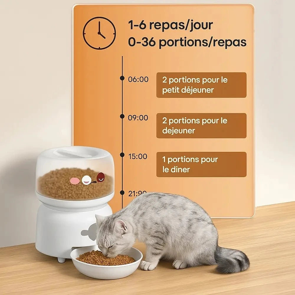 AutoFeed nourrit félin