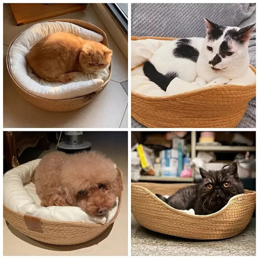 design panier chat
