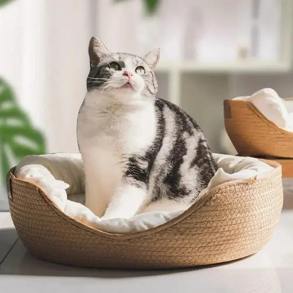 panier félin bambou