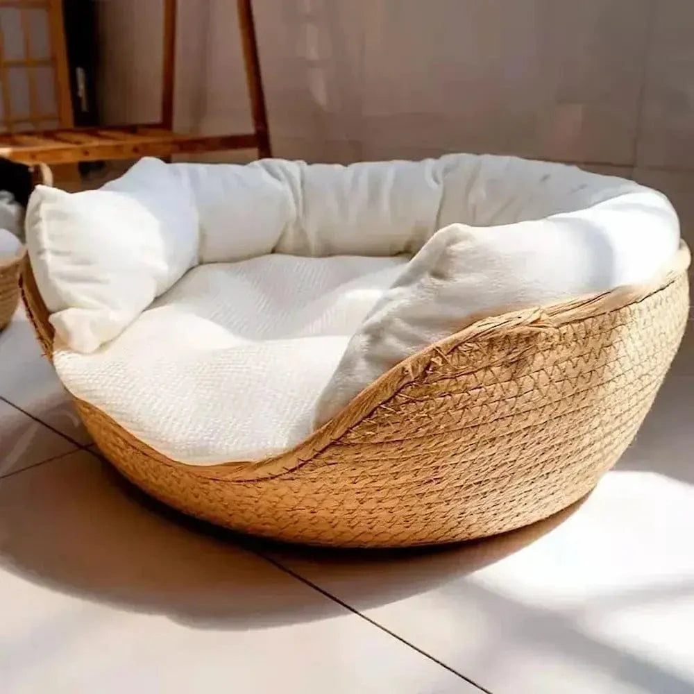 panier bambou chat durable