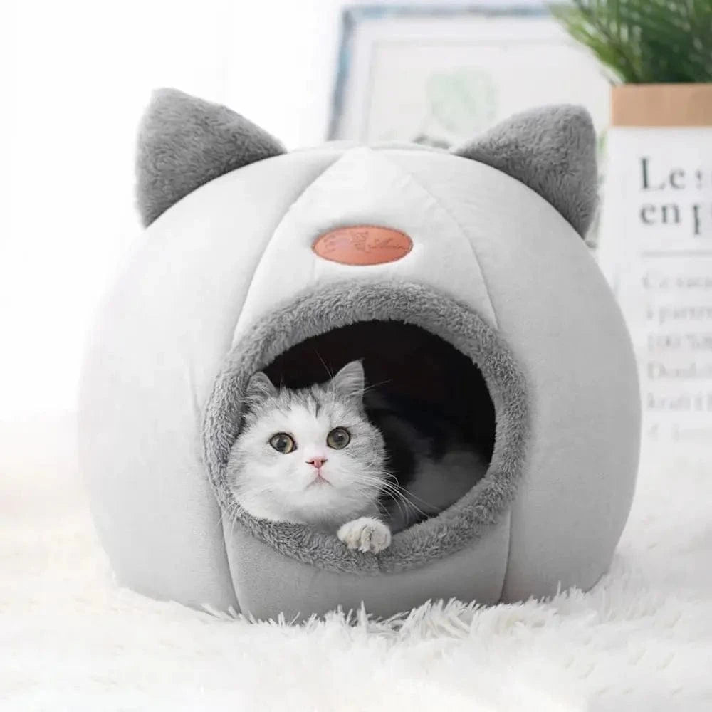 panier chat design mignon