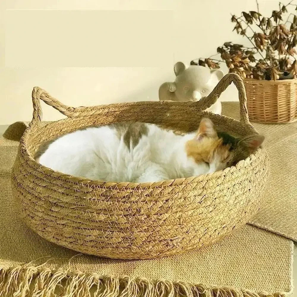 confort naturel chat