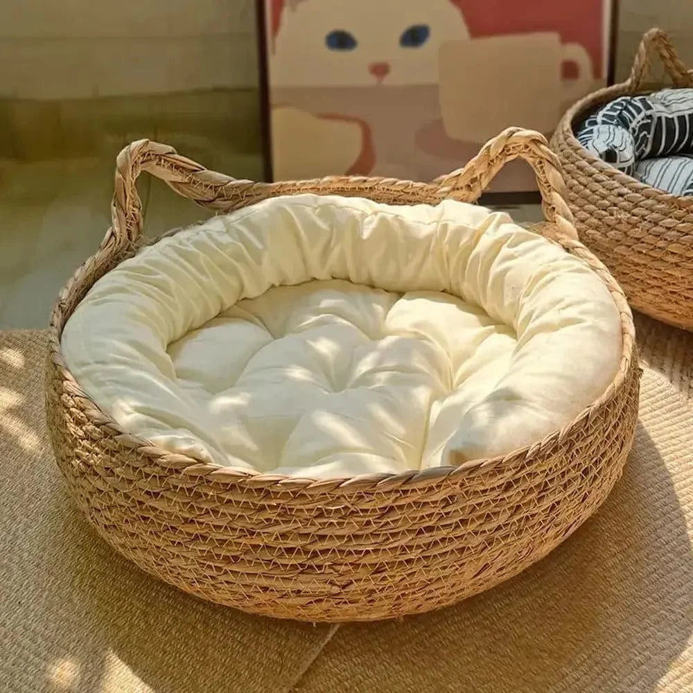 panier en osier chat