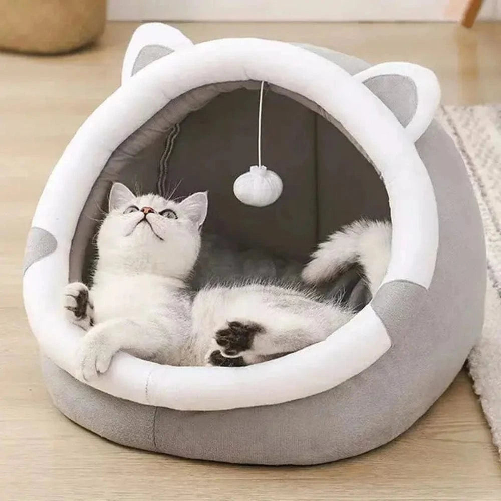 espace cosy pour félin