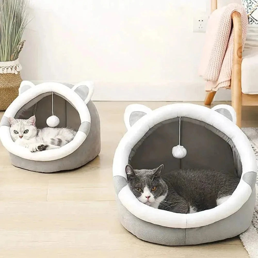 refuge calme et cosy pour chat