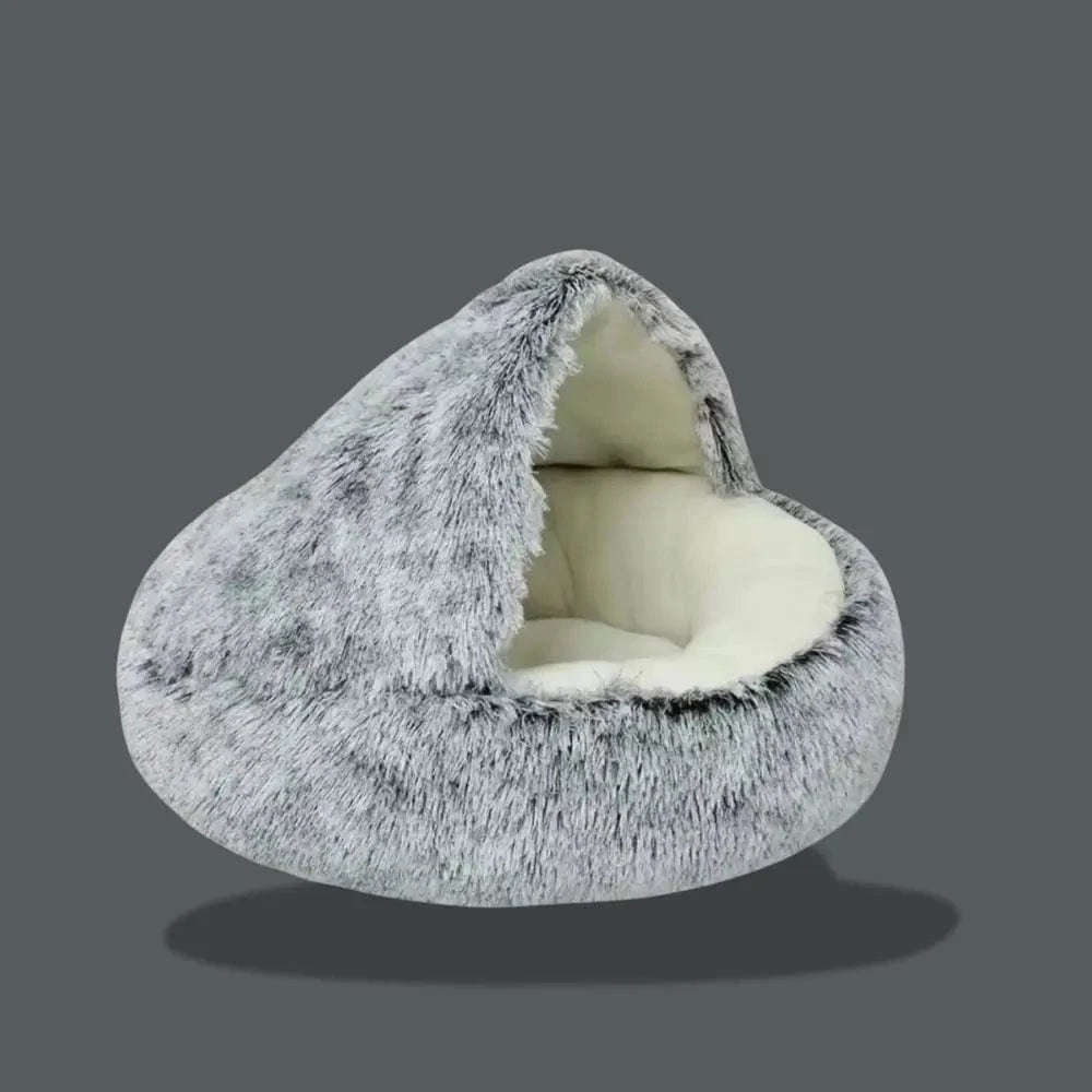 design moderne pour chat