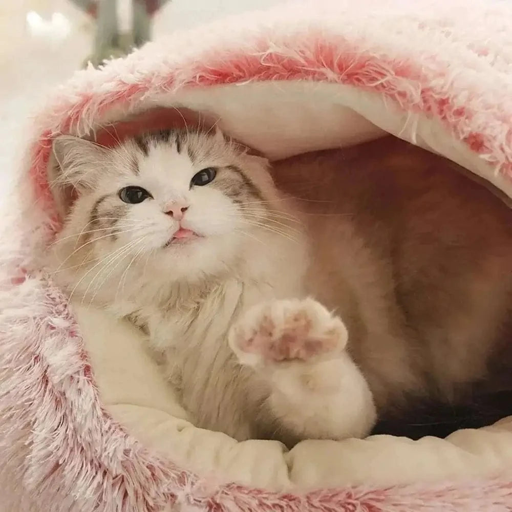cuzyNest pour chat