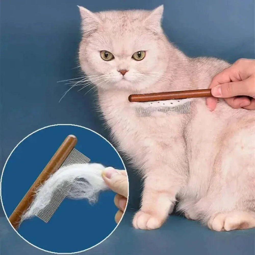 démêlage doux chat