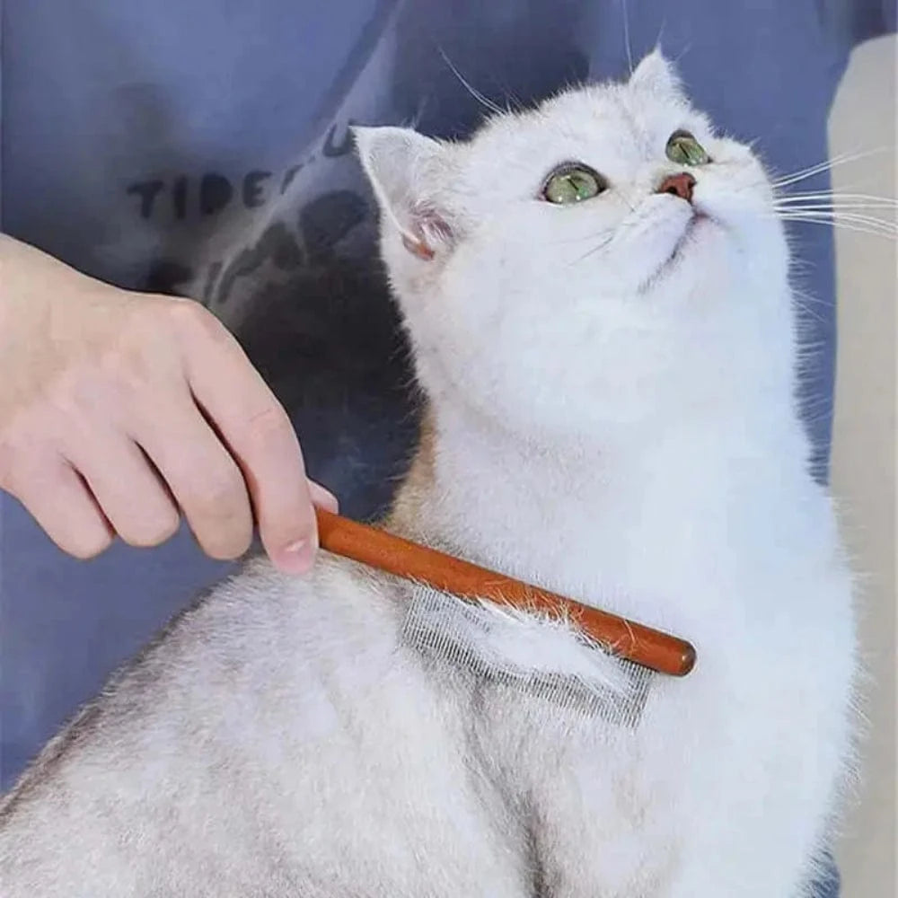 outil toilettage chat