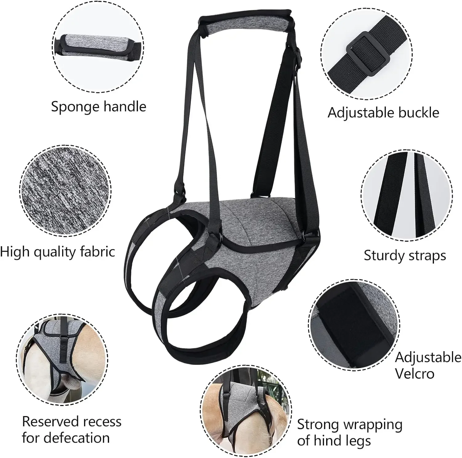 Harnais de Soutien Arrière pour Chien – Sangle de Levage Pattes Arrière | Aide Mobilité – Image 7