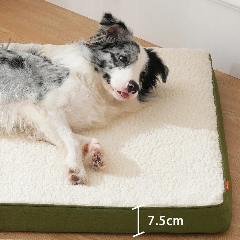 couchage chien pure