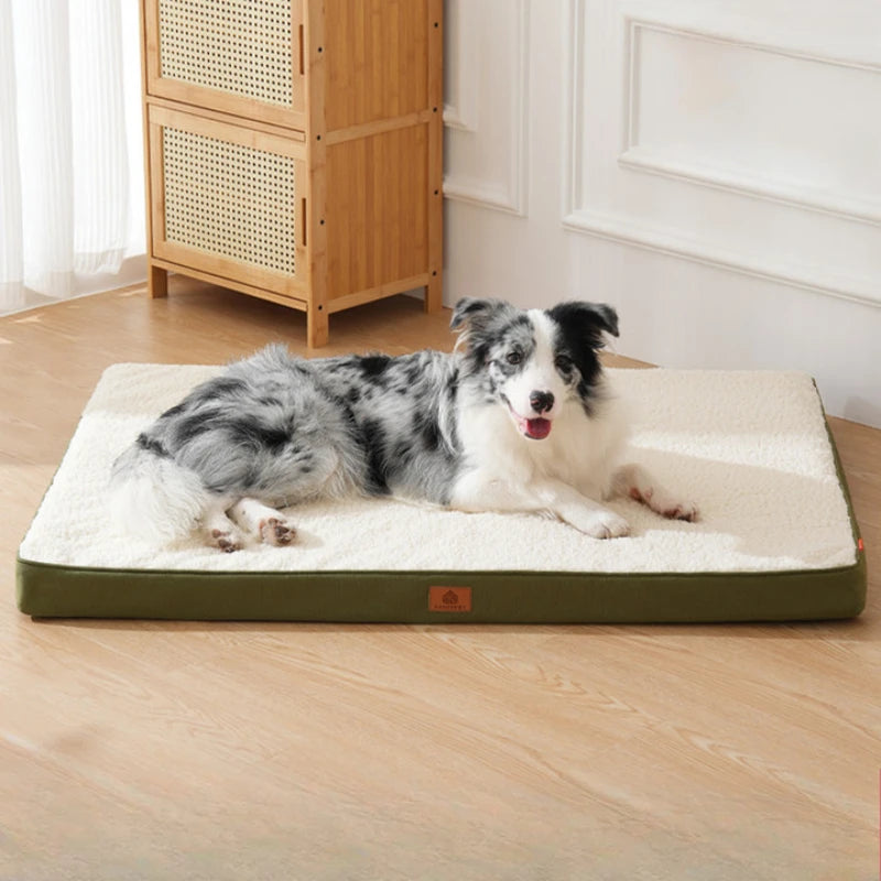 lit chien design pur