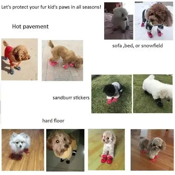 Bottes de protection chien imperméables antidérapantes | Chaussures chien – Image 13