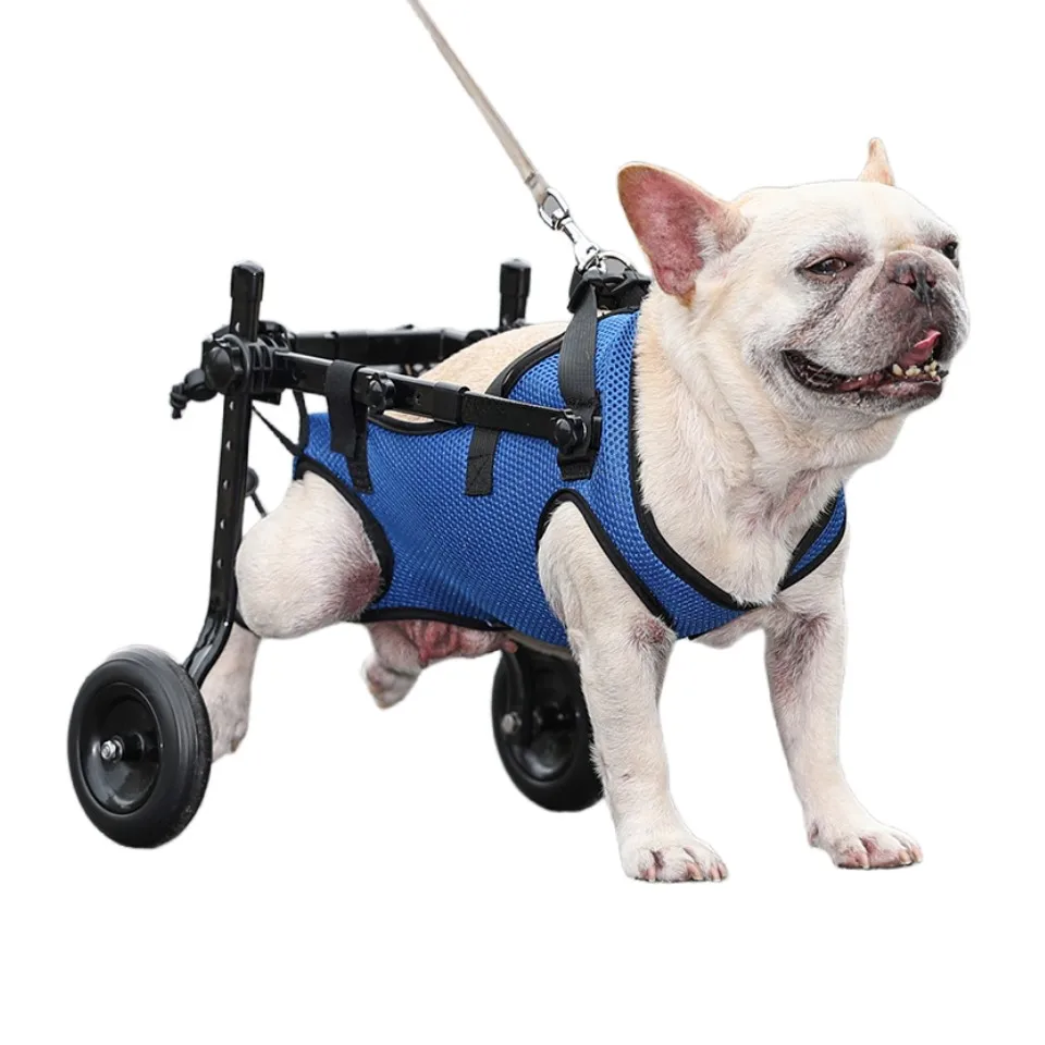 Fauteuil Roulant pour Chien Senior – Chariot de Mobilité Ajustable