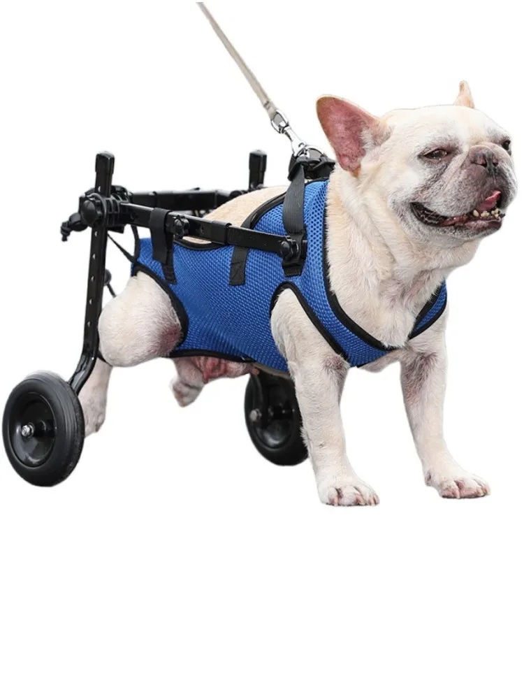 Fauteuil Roulant pour Chien Senior – Chariot de Mobilité Ajustable – Image 8