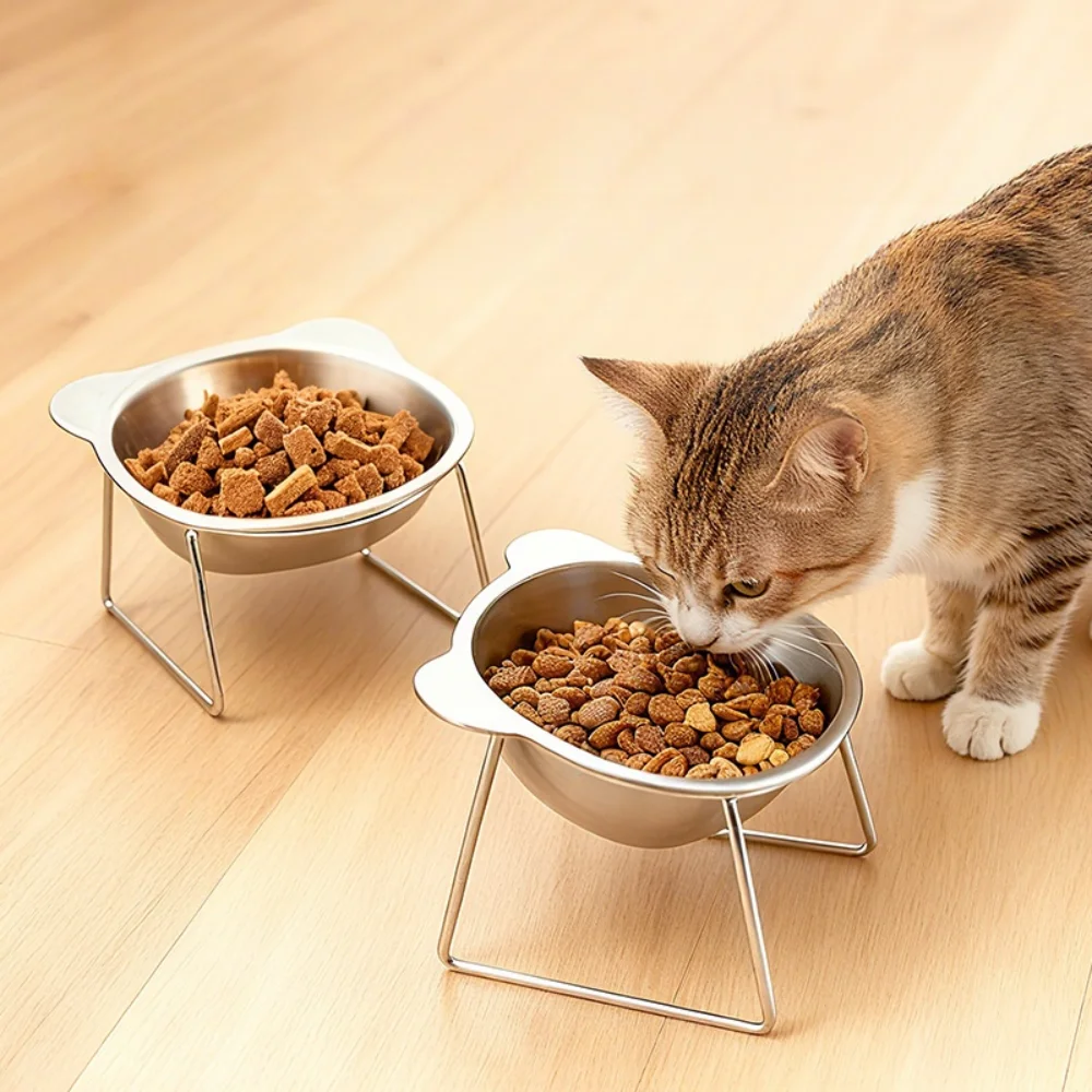 Gamelle surélevée pour chat en inox – Bol incliné anti-vomissement