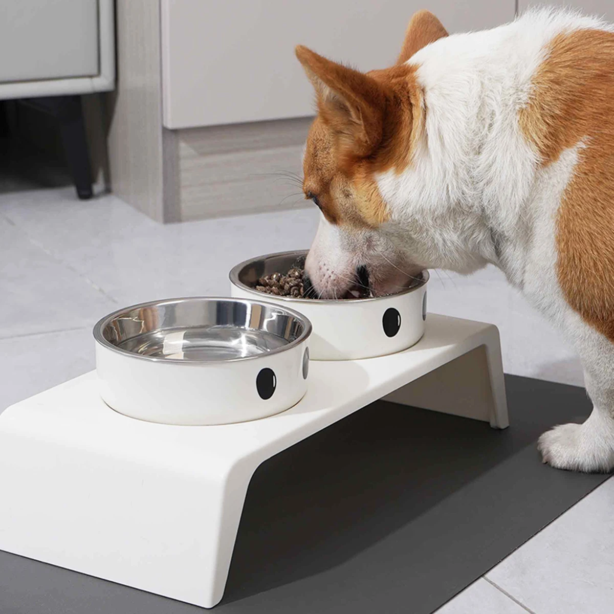 Gamelle Surélevée pour Chien avec 2 Bols Inox – Support Stable pour Eau et Croquettes