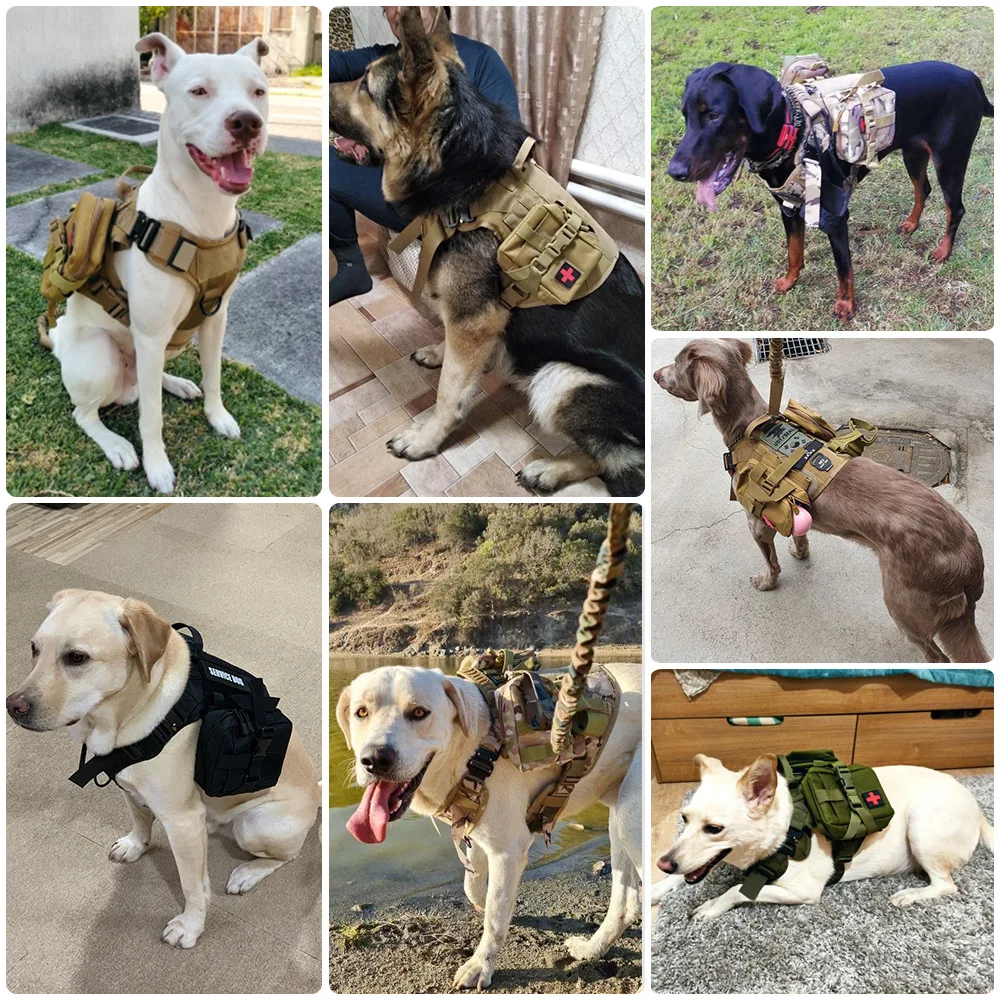 Harnais avec kit Tactique pour Chien | Sac de Transport et Promenade – Image 6