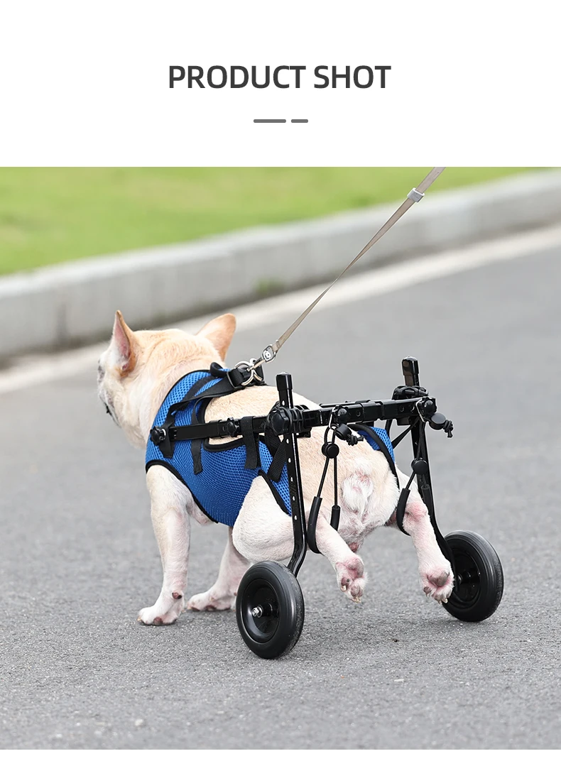 Fauteuil Roulant pour Chien Senior – Chariot de Mobilité Ajustable – Image 14