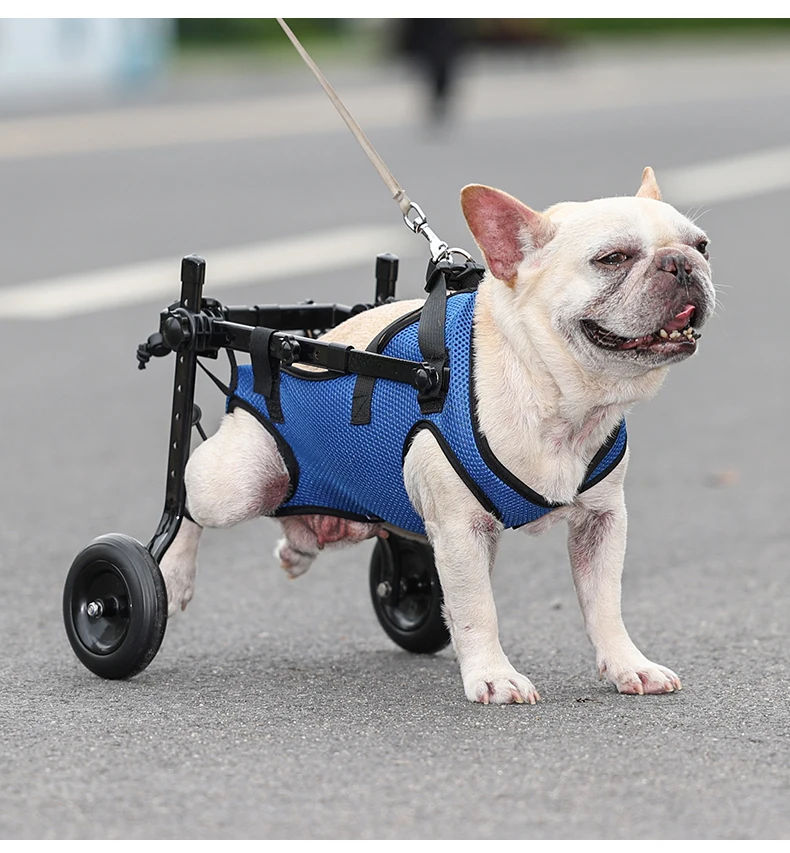 Fauteuil Roulant pour Chien Senior – Chariot de Mobilité Ajustable – Image 15