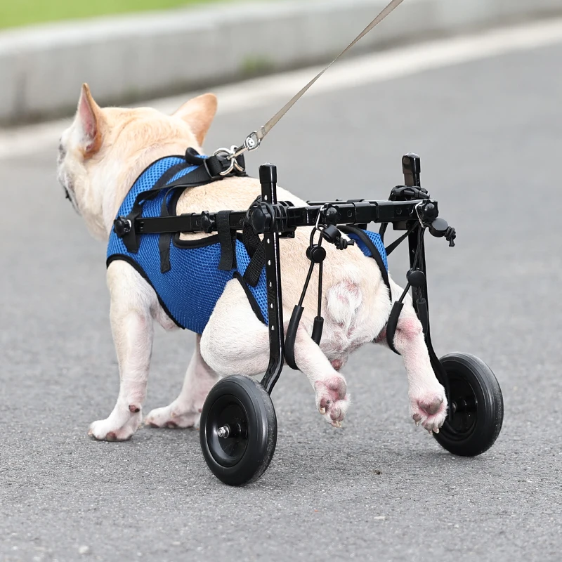 Fauteuil Roulant pour Chien Senior – Chariot de Mobilité Ajustable – Image 2
