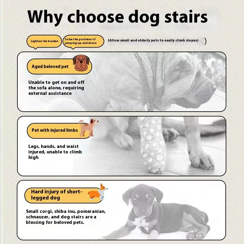 Marches pour Chien – Escalier Pelucheux pour Canapé et Lit | Confort Senior – Image 15
