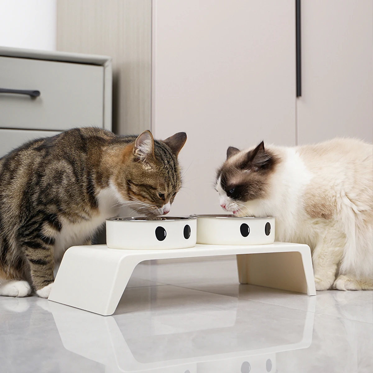 Gamelle Surélevée pour Chien avec 2 Bols Inox – Support Stable pour Eau et Croquettes – Image 2