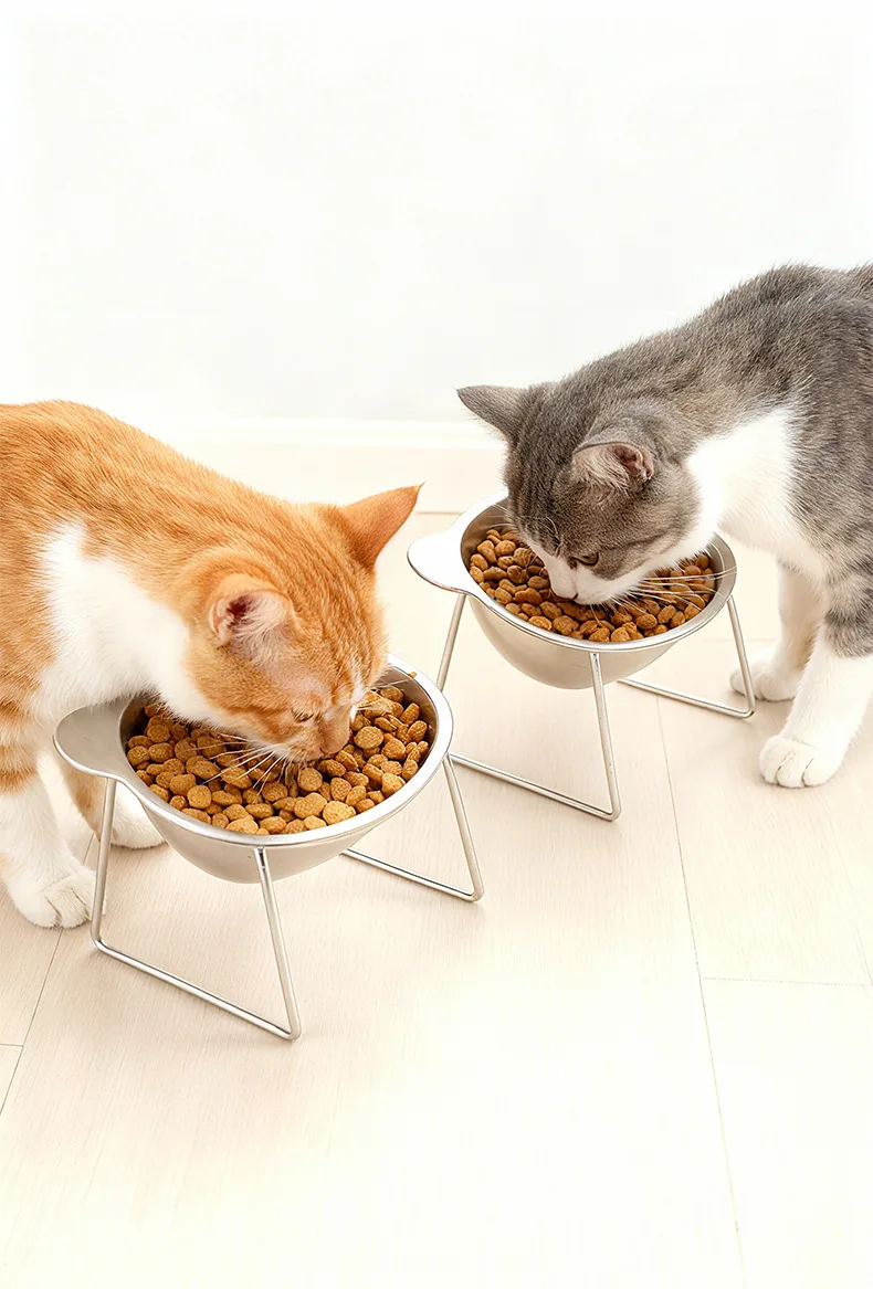 Gamelle surélevée pour chat en inox – Bol incliné anti-vomissement – Image 8