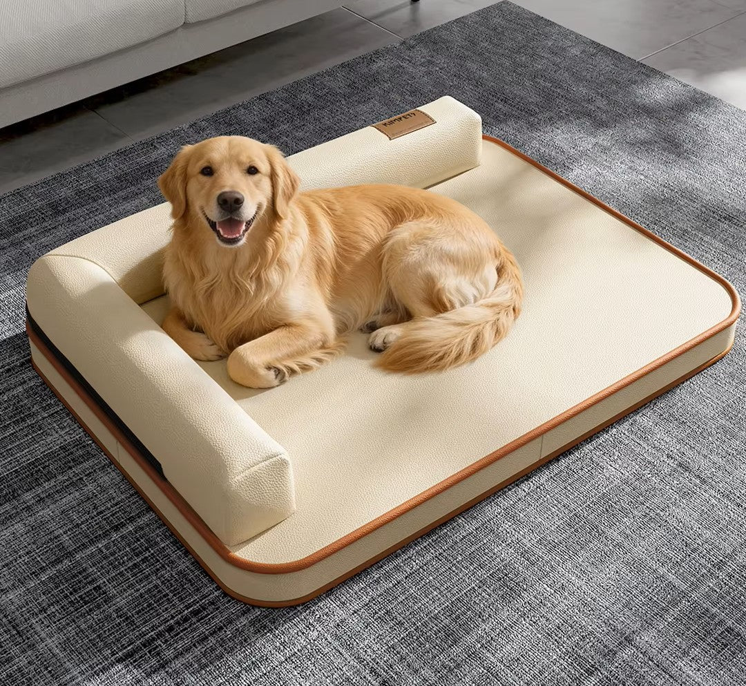 design sobre pour chien