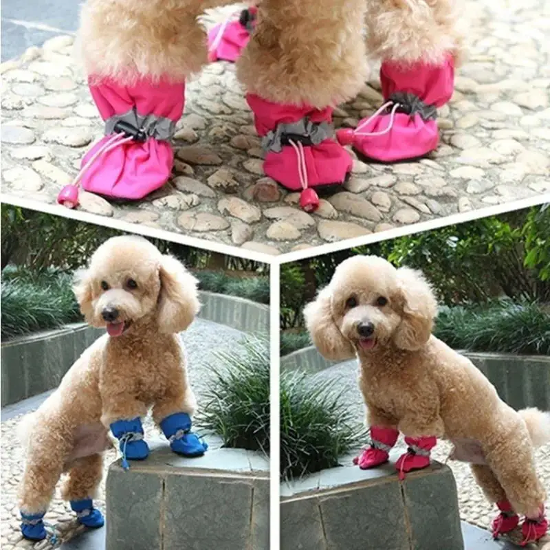 Bottes de protection chien imperméables antidérapantes | Chaussures chien – Image 12