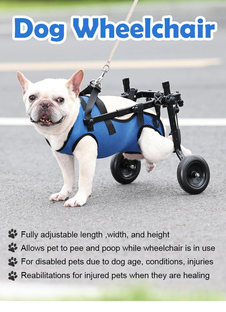 Fauteuil Roulant pour Chien Senior – Chariot de Mobilité Ajustable – Image 12