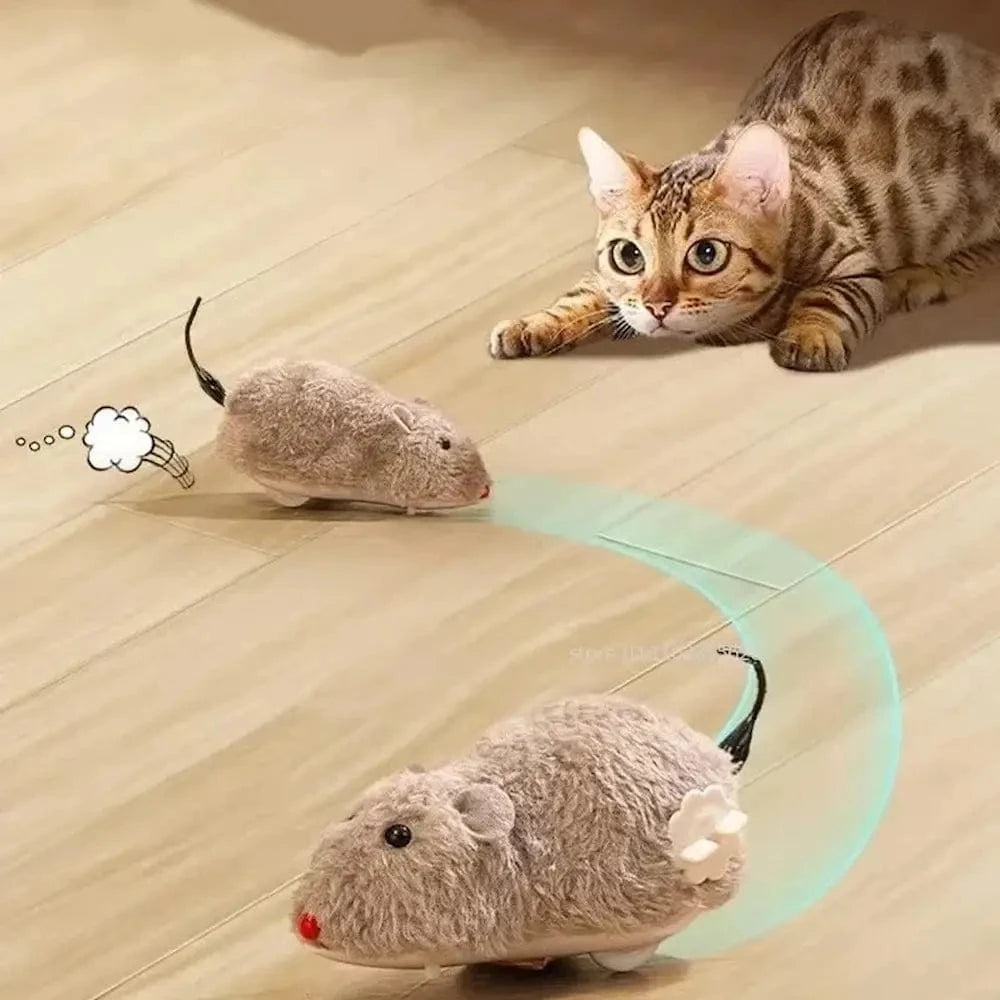souris chasse automatique