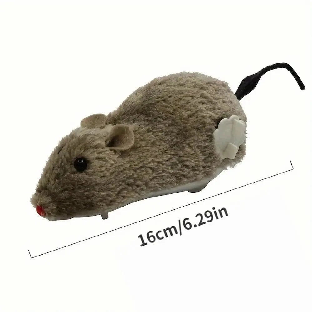 souris mécanique chat
