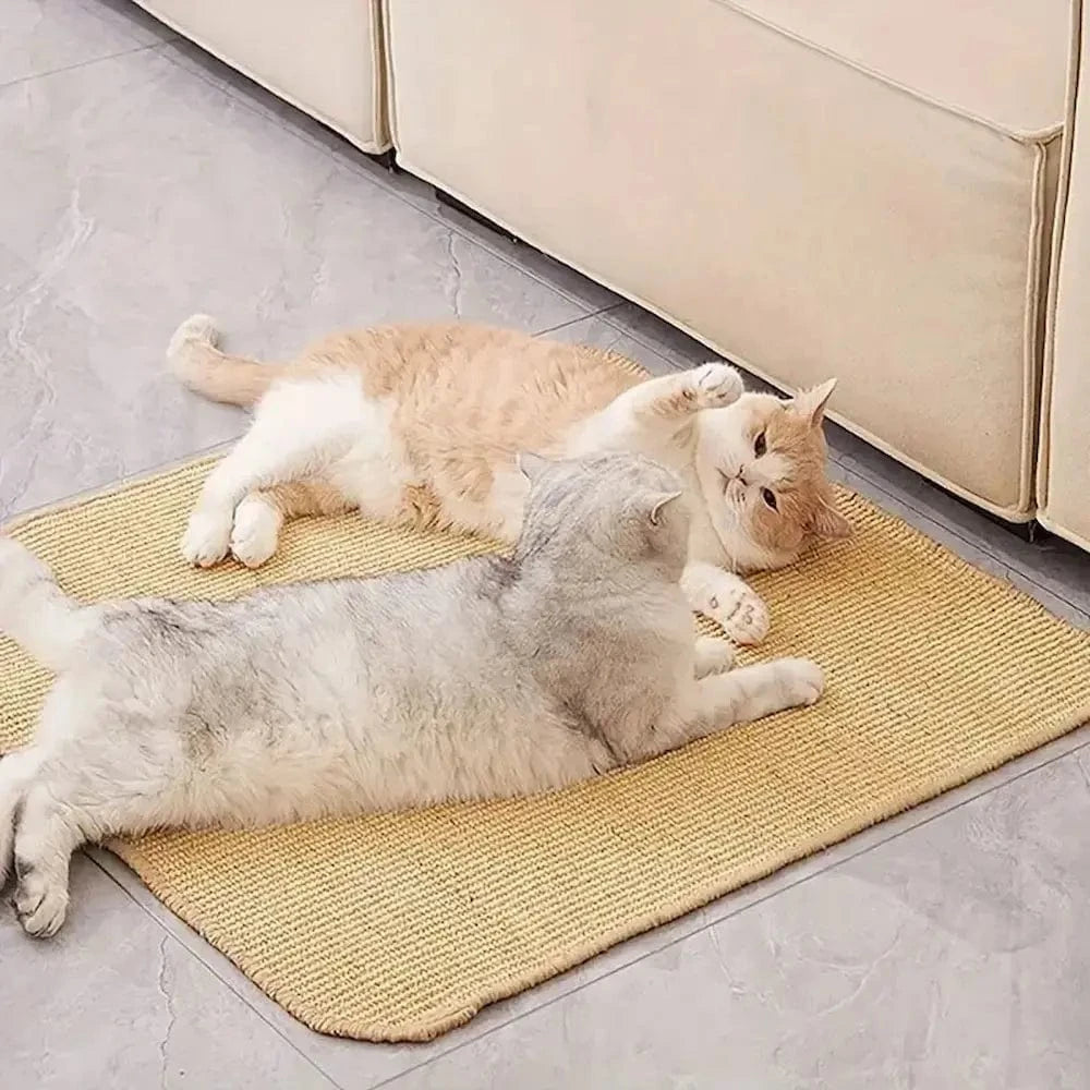 protection canapé pour chat