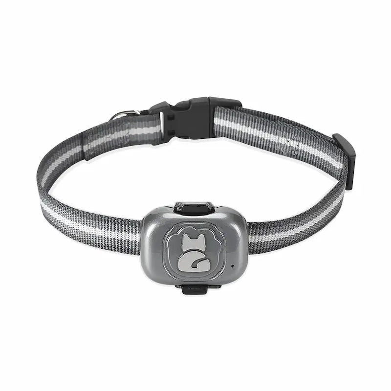 balise GPS pour chat